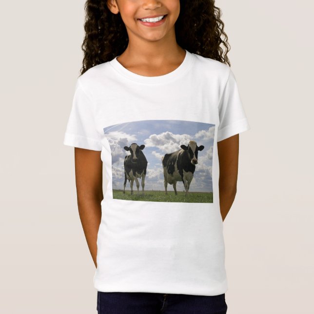 Two Friesian cows T-Shirt (Front)