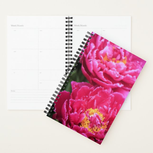 Two Fuchsia Peony Blooms Painting Planner (Display)