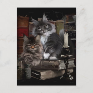Two furry Maine Coon kittens Postcard
