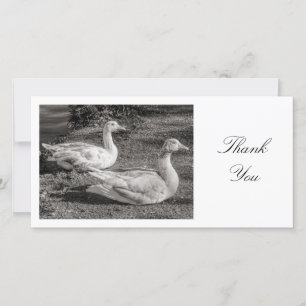 Two Geese - Thank You Card