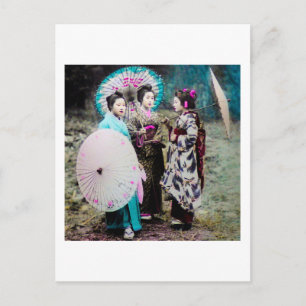 Two Geisha and a Maiko and Parasols Old Japan Postcard