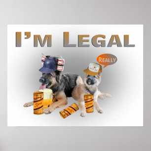 Two German Shepherd  Legal  Beer Drinkers Poster