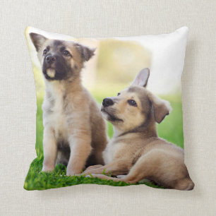 Two German Shepherd Puppies Cushion