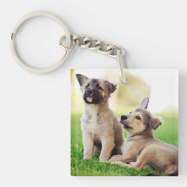 Two German Shepherd Puppies Key Ring (Front)