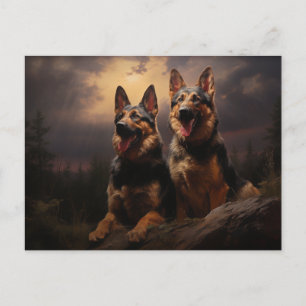 Two German Shepherds at Dusk Postcard