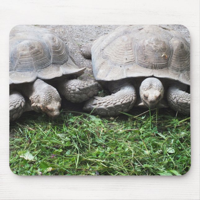 Two giant tortoises mouse mat (Front)