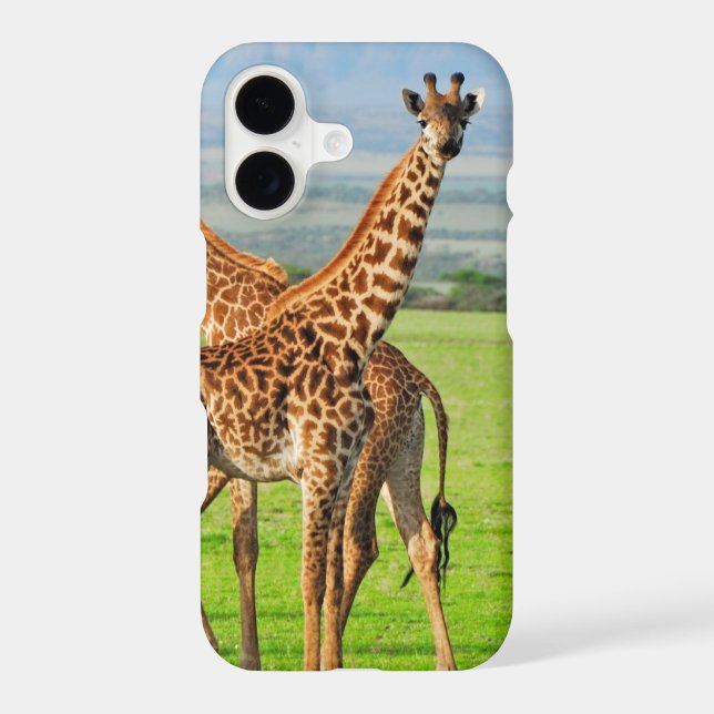 Two Giraffes (Back)