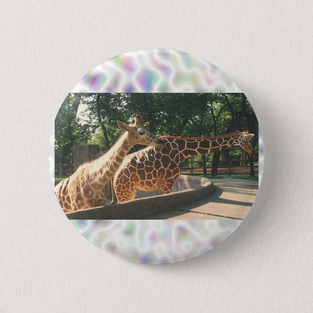 Two Giraffes Buttons (Front)