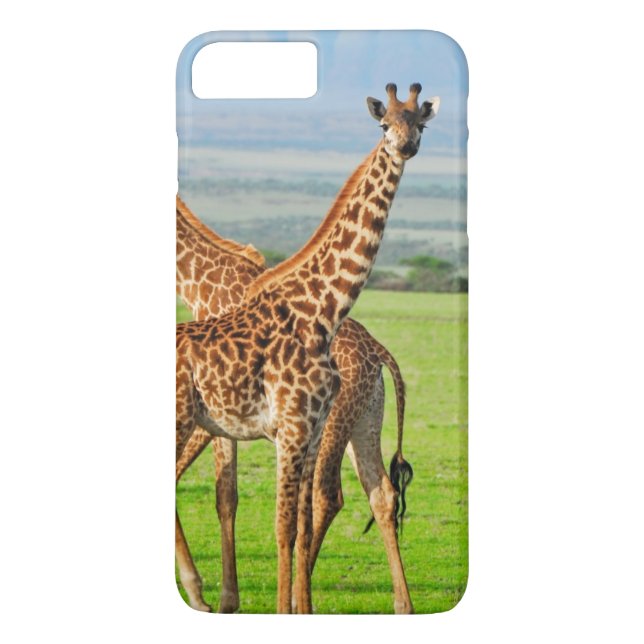Two Giraffes Case-Mate iPhone Case (Back)