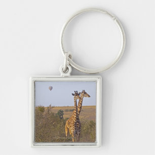 Two Giraffes (Giraffa camelopardalis), Masai Key Ring