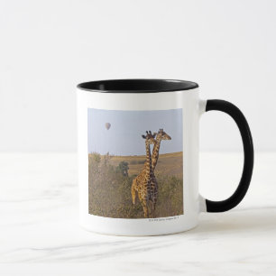 Two Giraffes (Giraffa camelopardalis), Masai Mug
