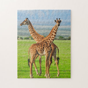 Two Giraffes Jigsaw Puzzle