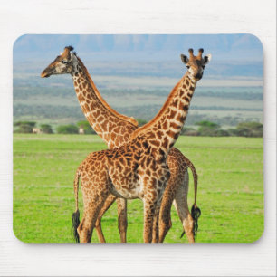 Two Giraffes Mouse Mat