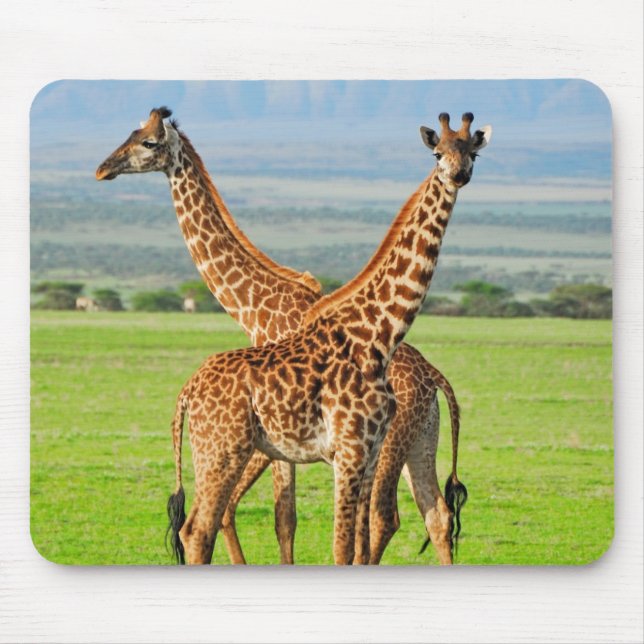 Two Giraffes Mouse Mat (Front)