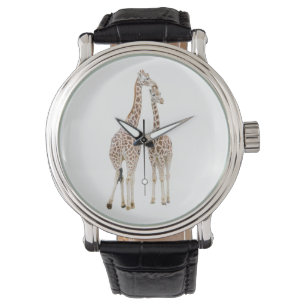 Two Giraffes Watch