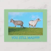 TWO GOATS, BACKS TO EACH OTHER: "YOU STILL MAD?"