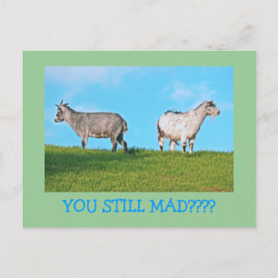 TWO GOATS, BACKS TO EACH OTHER: "YOU STILL MAD?" POSTCARD