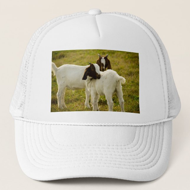Two Goats Snuggle Cute Trucker Hat (Front)