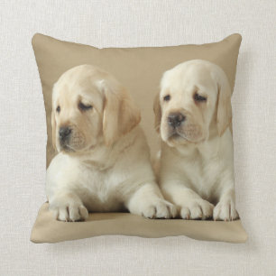 Two Golden Labrador Puppies Cushion