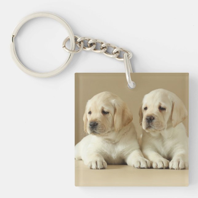 Two Golden Labrador Puppies Key Ring (Front)