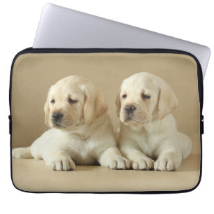 Two Golden Labrador Puppies Laptop Sleeve