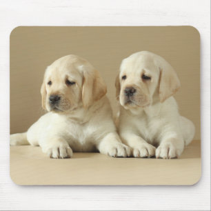 Two Golden Labrador Puppies Mouse Mat