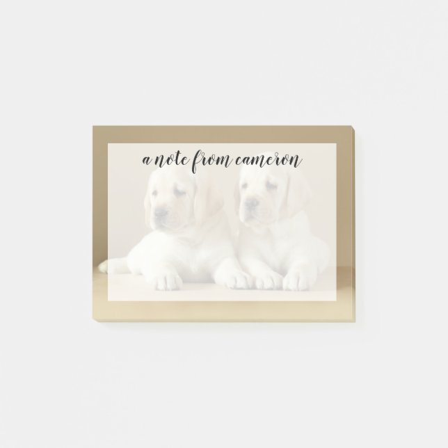 Two Golden Labrador Puppies Post-it Notes (Front)