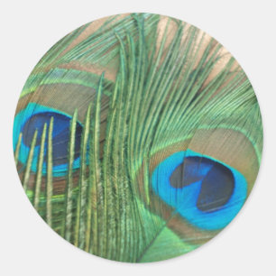 Two Golden Peacock Feather Stickers