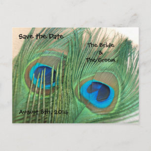Two Golden Peacock Feathers Save the Date Announcement Postcard