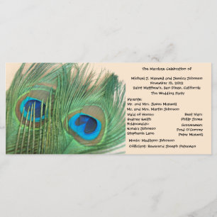 Two Golden Peacock Feathers Wedding Program Programme