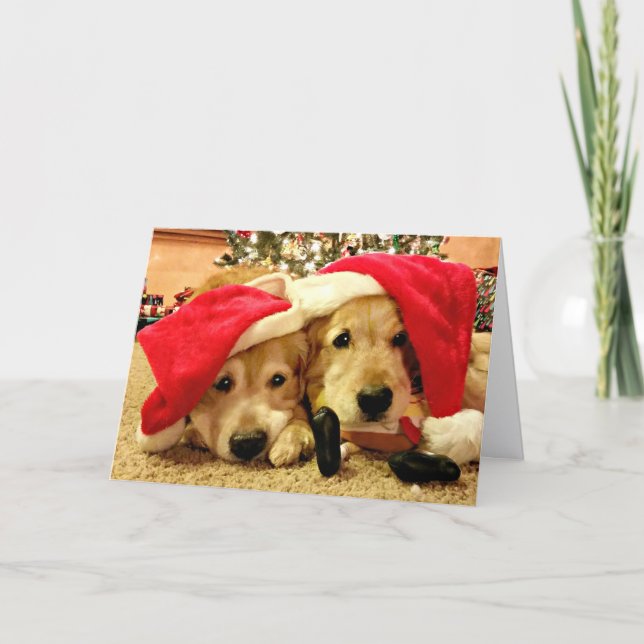 Two Golden Retriever Dogs in Santa Hats Christmas Holiday Card (Front)
