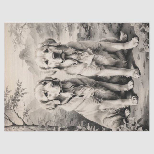 Two Golden Retriever Dogs Portrait Tissue Paper (Front)