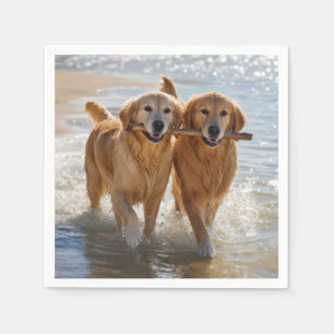 Two Golden Retrievers Carrying a Stick Napkin