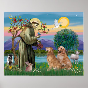 Two Golden Retrievers Poster