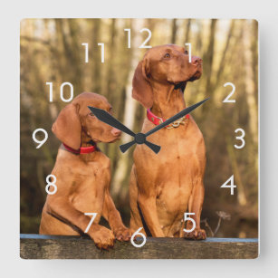 Two Golden Rust Vizsla Dogs Wall Clock