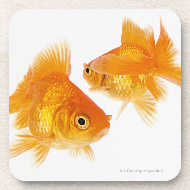 Two Goldfish Crossing Each Other Coaster (Front)