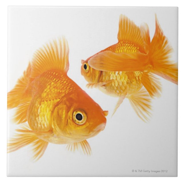 Two Goldfish Crossing Each Other Tile (Front)