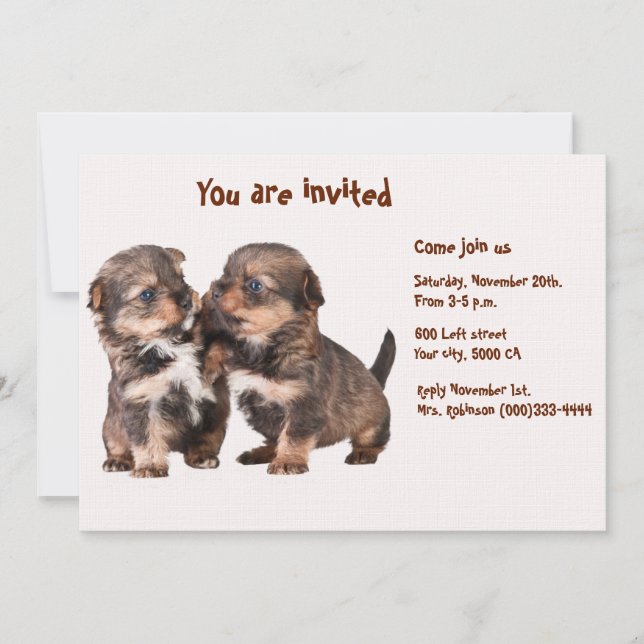 Two Graceful Yorkshire Puppies Invitation (Front)