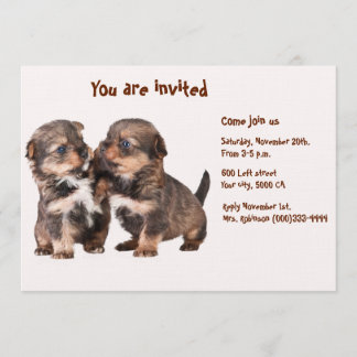 Two Graceful Yorkshire Puppies Invitation