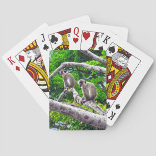 Two Green Monkeys Sitting In Tree Playing Cards