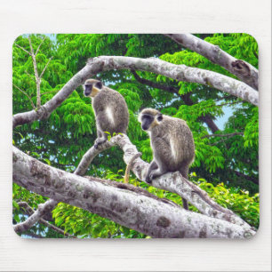 Two Green Monkeys Sitting In Tree Print Mouse Pad