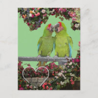 Two Green Parrots Flower Heart DIY Postcard