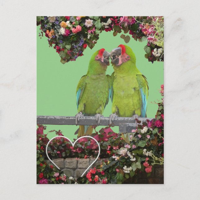 Two Green Parrots Flower Heart DIY Postcard (Front)