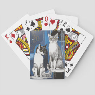 Two Grey Cats on an Abstract Background Playing Cards