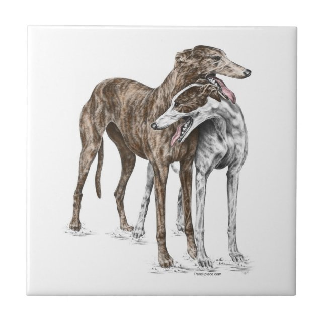 Two Greyhound Friends Dog Art Tile (Front)