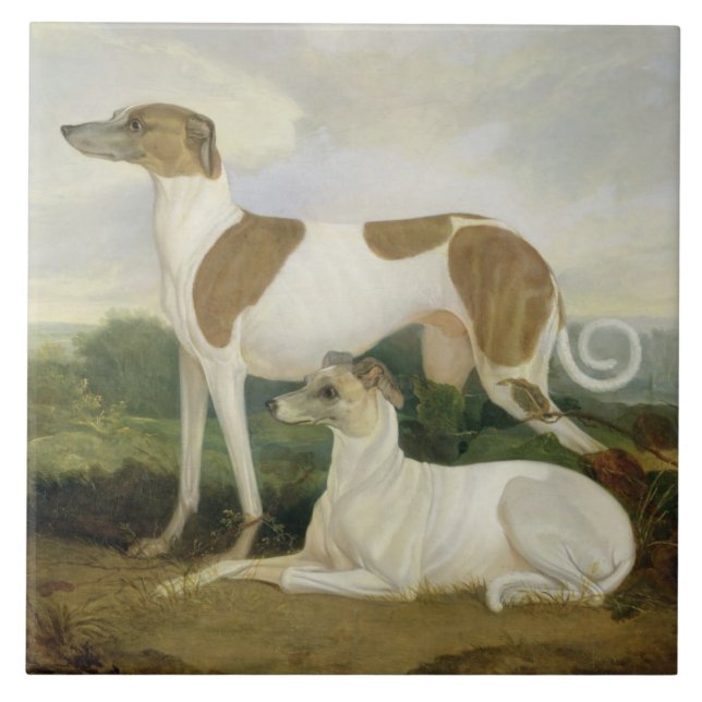 Two Greyhounds in a Landscape (oil on canvas) Tile (Front)