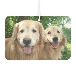 Two Happy Golden Retrievers Outside Car Air Freshener