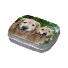 Two Happy Golden Retrievers Outside