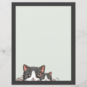 Two happy grey kittens on Paper Sheet