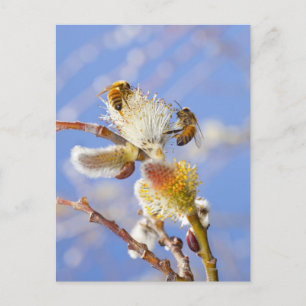 Two happy honey bees gathering nectar, postcard